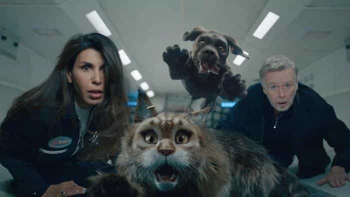 تماشای انیمیشن گربه و سگ محصول سال 2024 | چیبینو