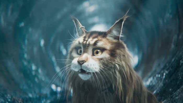 تماشای انیمیشن گربه و سگ محصول سال 2024 | چیبینو