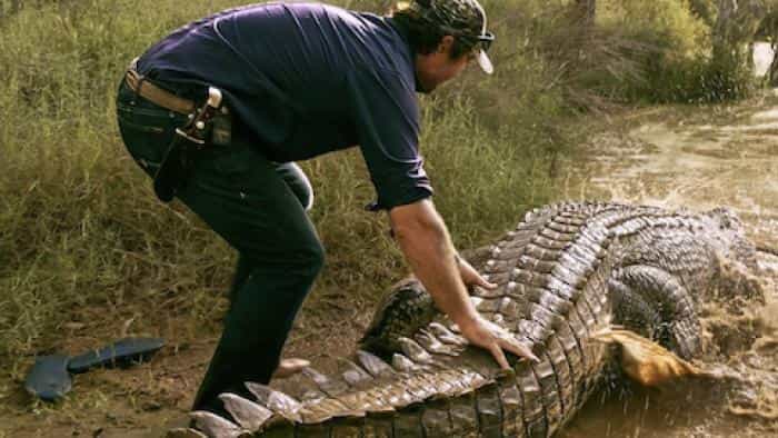 نقد و بررسی سریال قلمرو کروکودیلهای وحشی (2022) | چیبینو