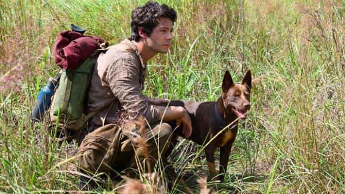 تماشای فیلم عشق و هیولا ها محصول سال 2020 | چیبینو