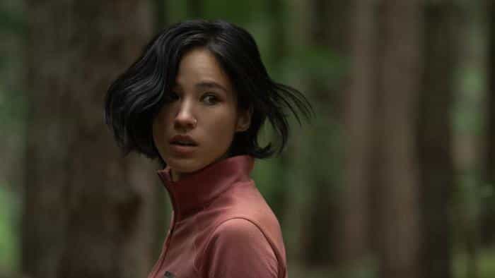 تماشای فیلم بی حرکت محصول سال 2024 | چیبینو