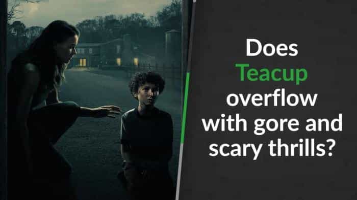 تماشای سریال فنجان چای محصول سال 2024 | چیبینو