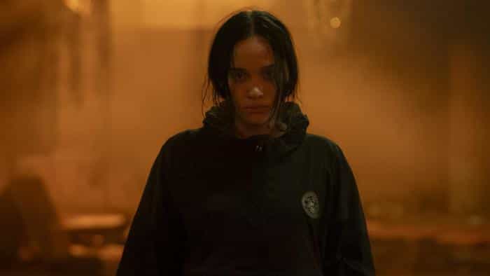 تماشای فیلم سایه های ولگرد محصول سال 2024 | چیبینو