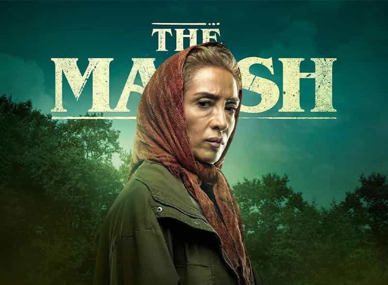 نقد و بررسی سریال مرداب محصول سال 2023 | چیبینو