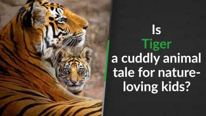 تماشای فیلم ببر2024 محصول سال 2024 | چیبینو