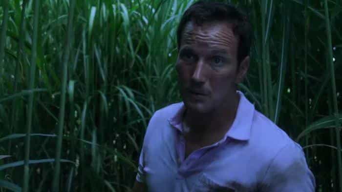 نقد و بررسی فیلم در میان چمنزارهای بلند (2019) | چیبینو