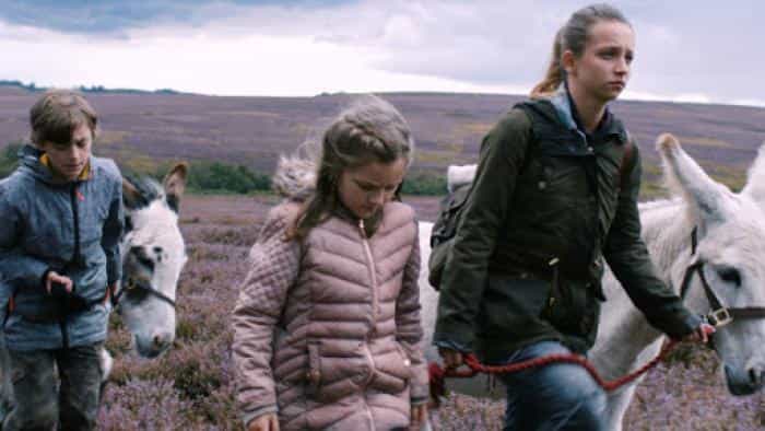 نقد و بررسی فیلم فراریها محصول سال 2019 | چیبینو