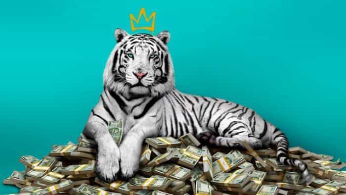 تماشای فیلم ببر سفید محصول سال 2021 | چیبینو