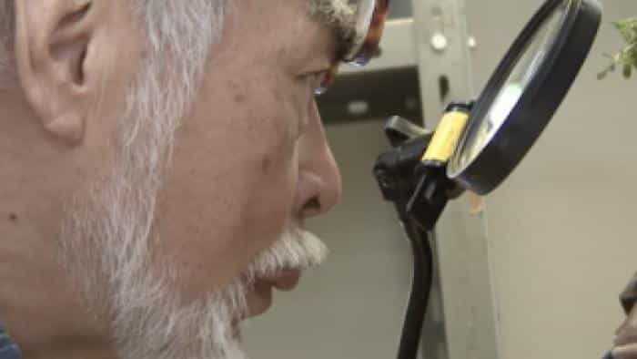 نقد و بررسی انیمه مرد بیپایان: هایائو میازاکی (2016)