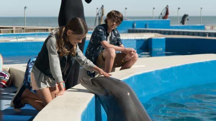 تماشای فیلم برنی دلفین محصول سال 2018 | چیبینو