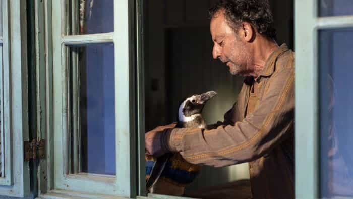 تماشای فیلم دوست پنگوئن من محصول سال 2024 | چیبینو