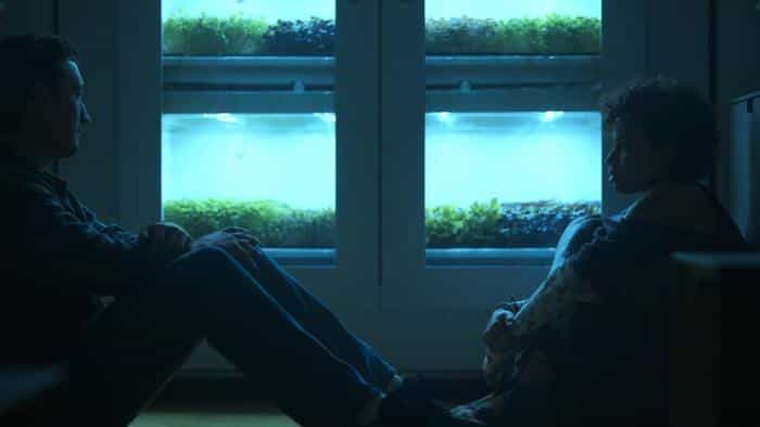 نقد و بررسی فیلم سرعنکبوت محصول سال 2022 | چیبینو