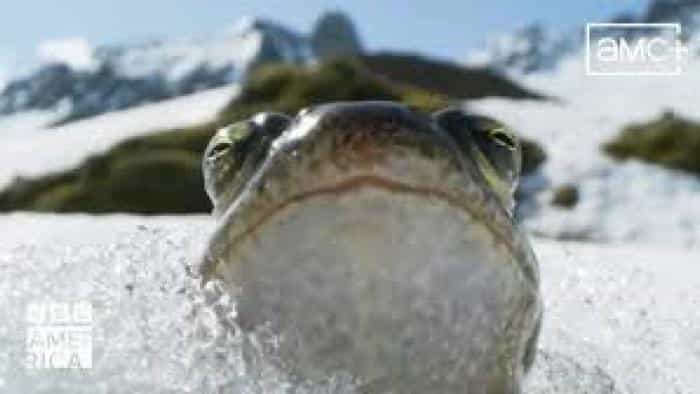 تماشای سریال سیاره زمین ۳ محصول سال 2023 | چیبینو