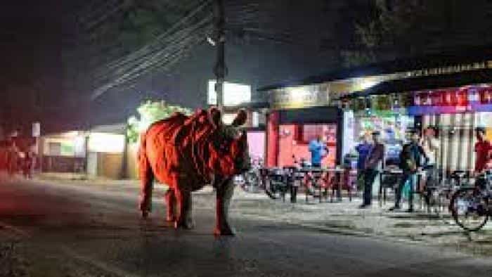 تماشای سریال سیاره زمین ۳ محصول سال 2023 | چیبینو