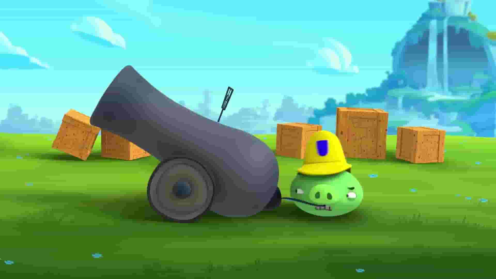 پخش فیلم