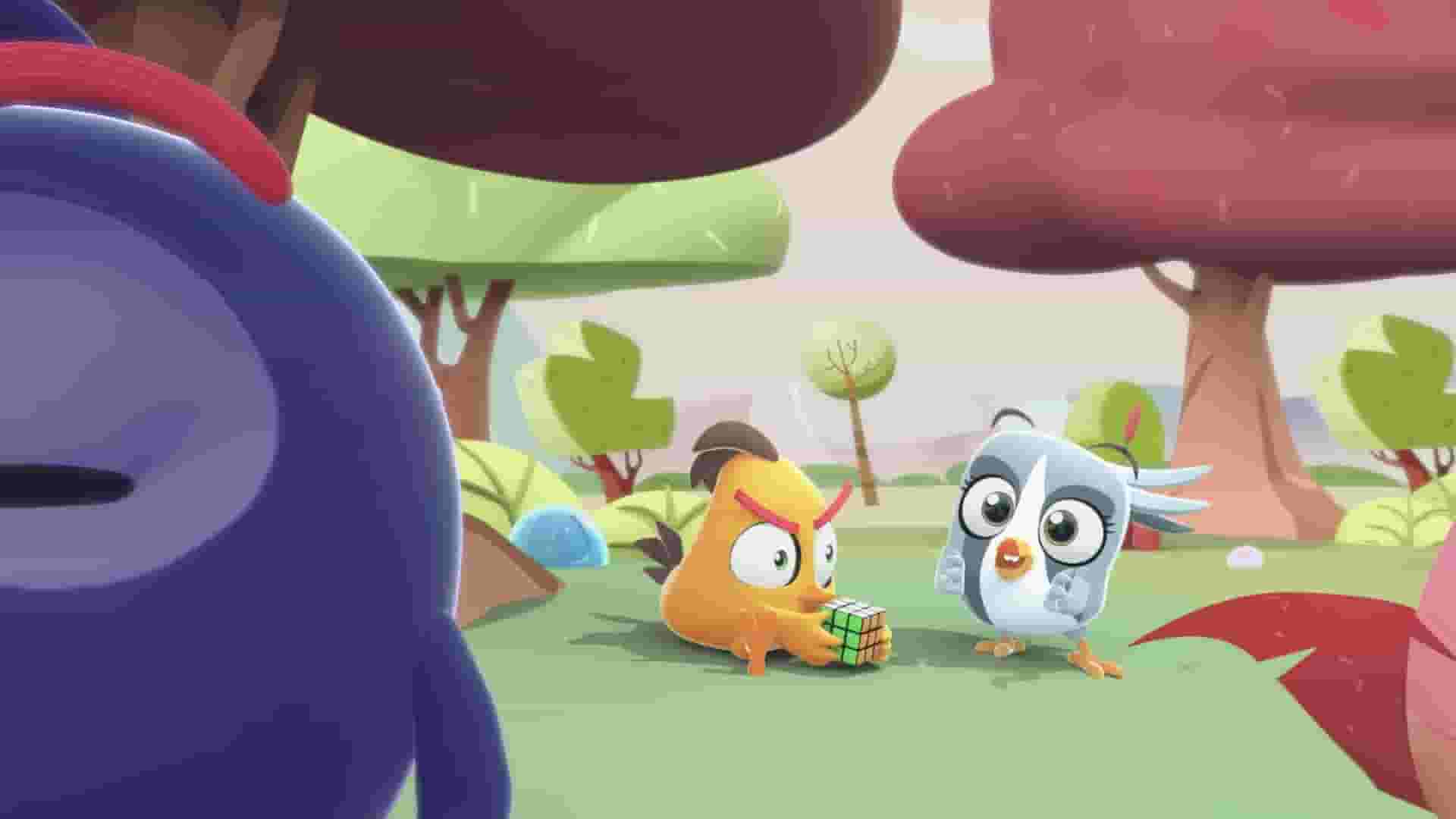 پخش فیلم