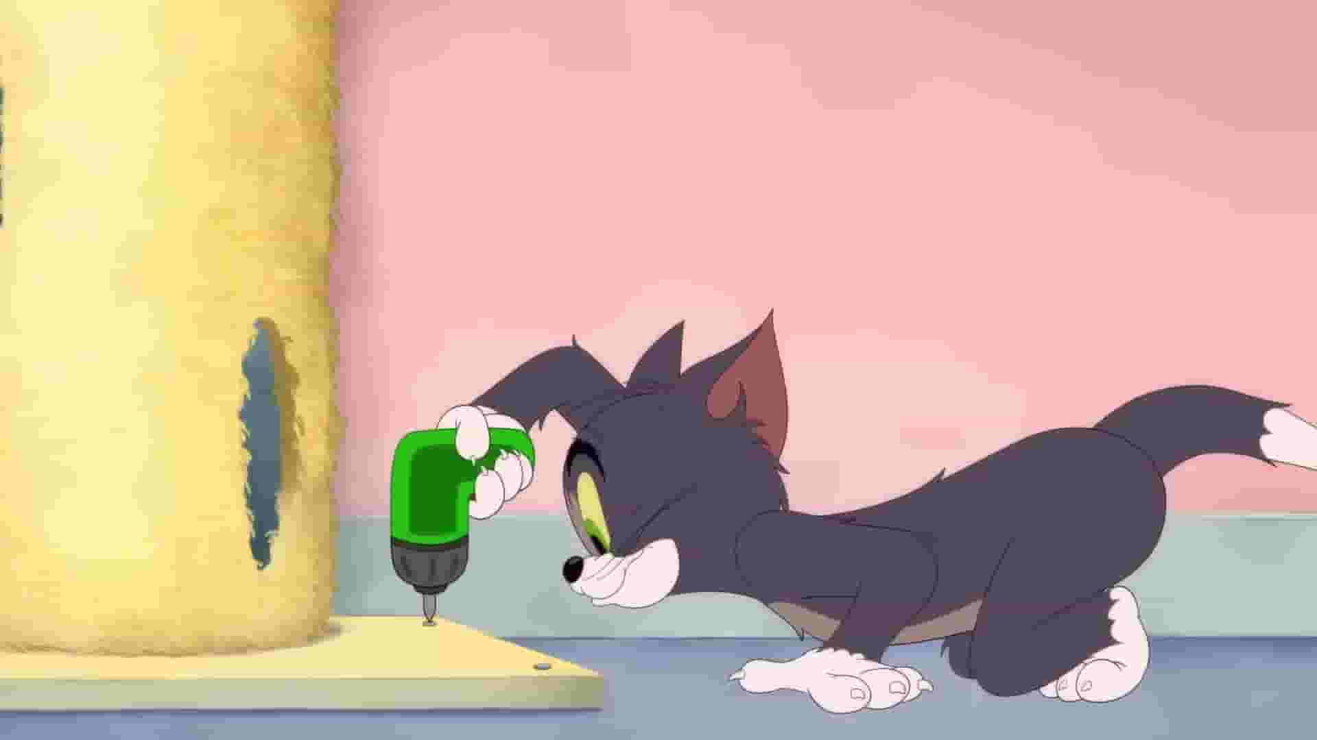 پخش فیلم