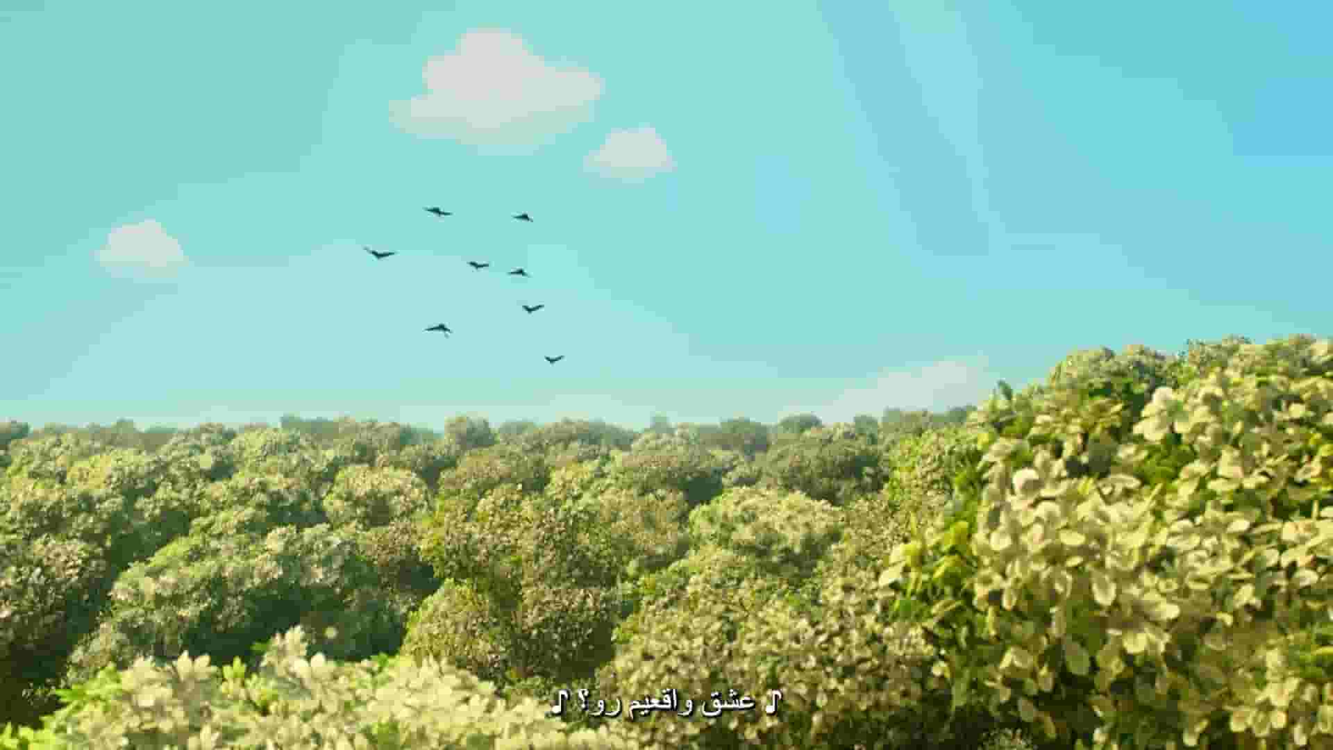 پخش فیلم