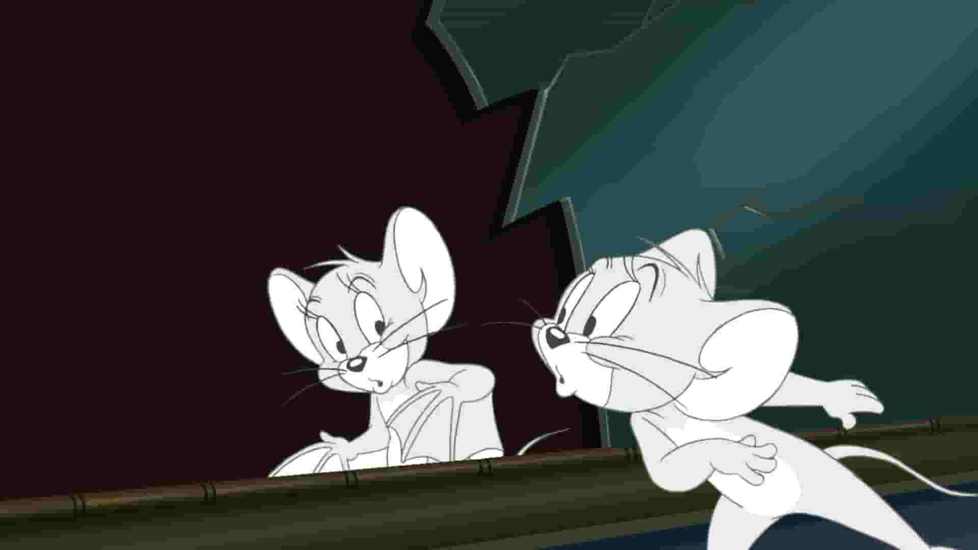 پخش فیلم