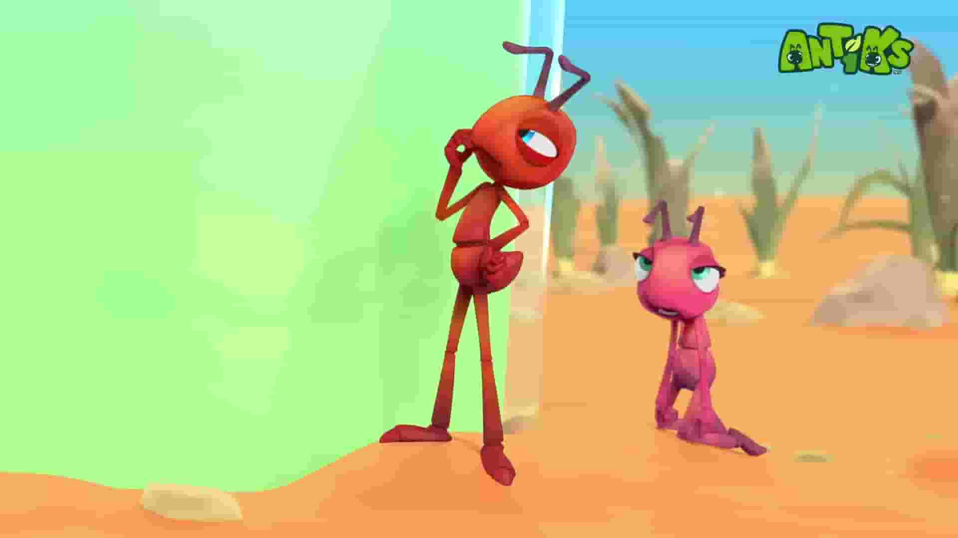 پخش فیلم