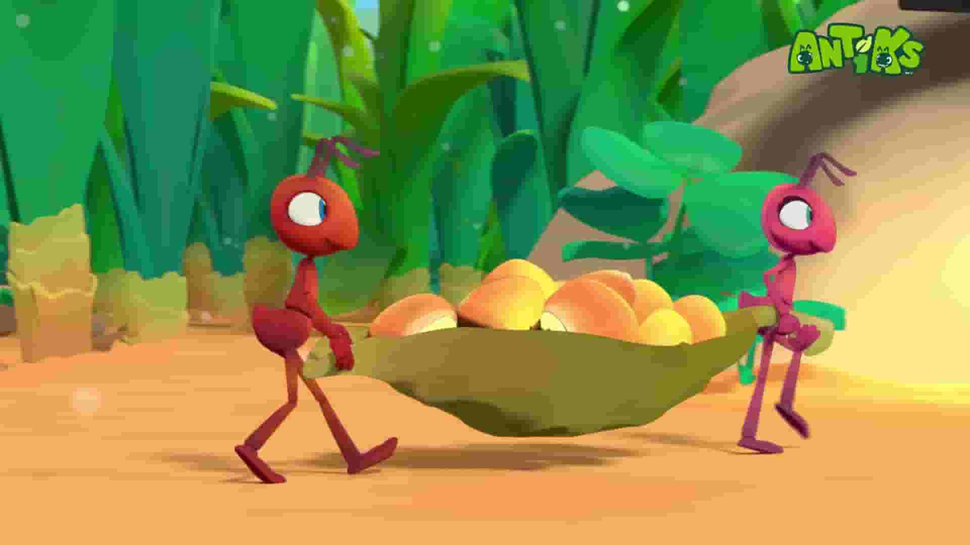 پخش فیلم