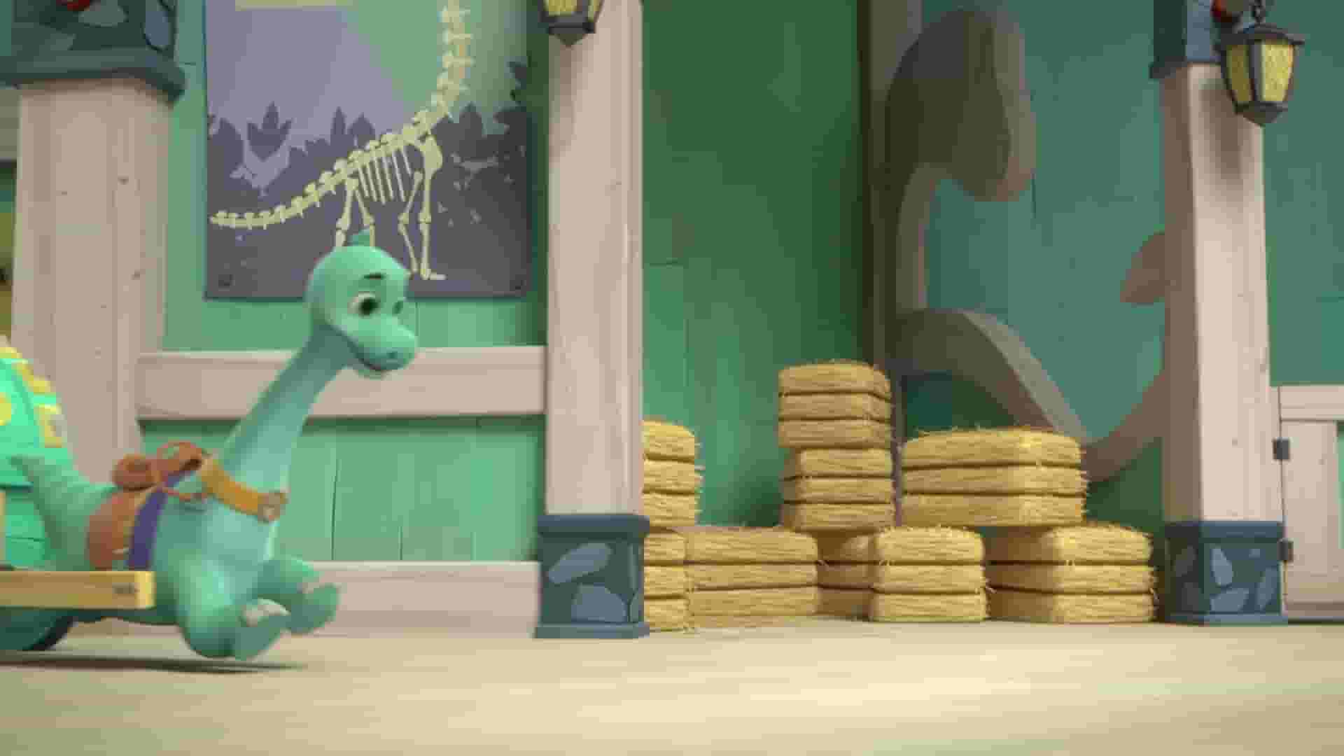 پخش فیلم