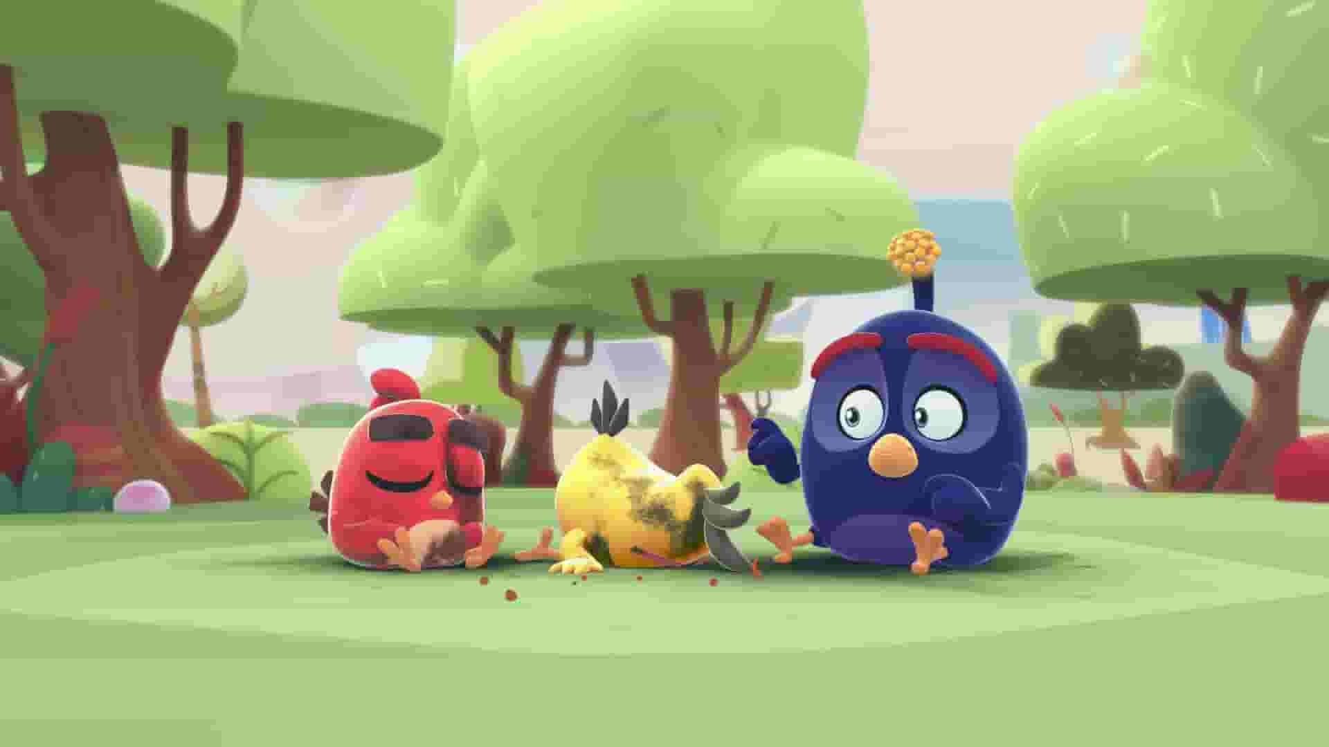 پخش فیلم