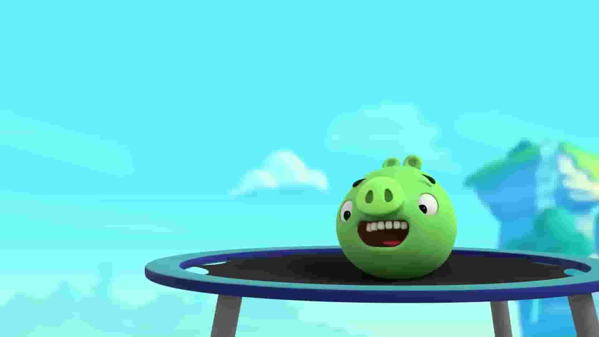 پخش فیلم
