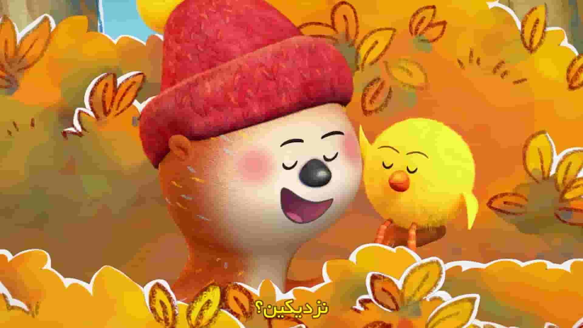 پخش فیلم