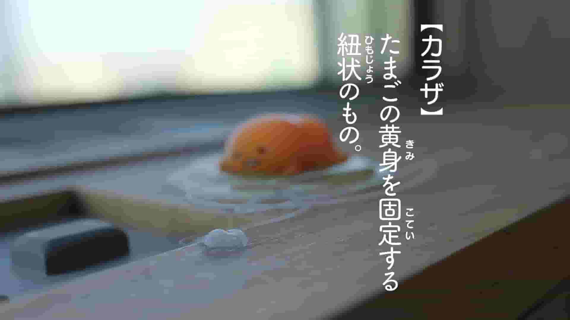پخش فیلم