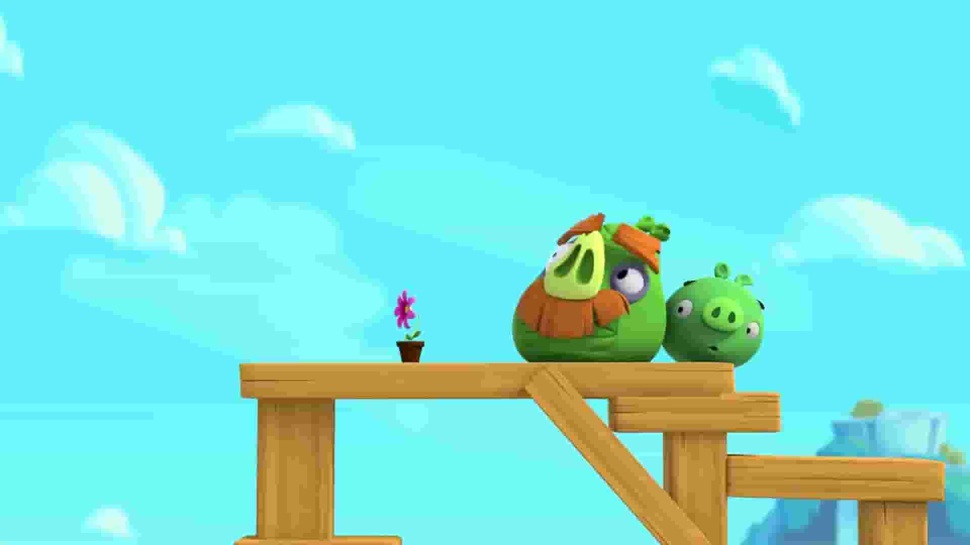 پخش فیلم