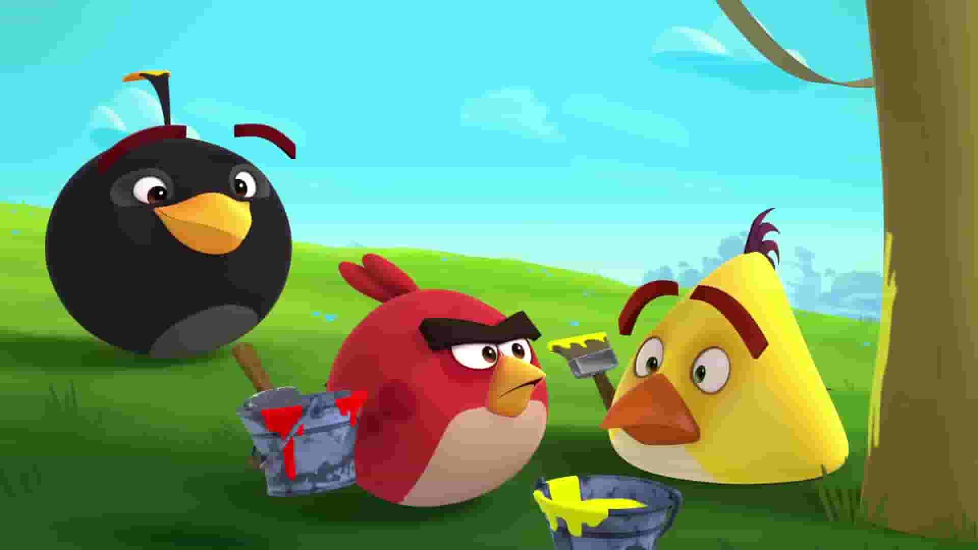 پخش فیلم