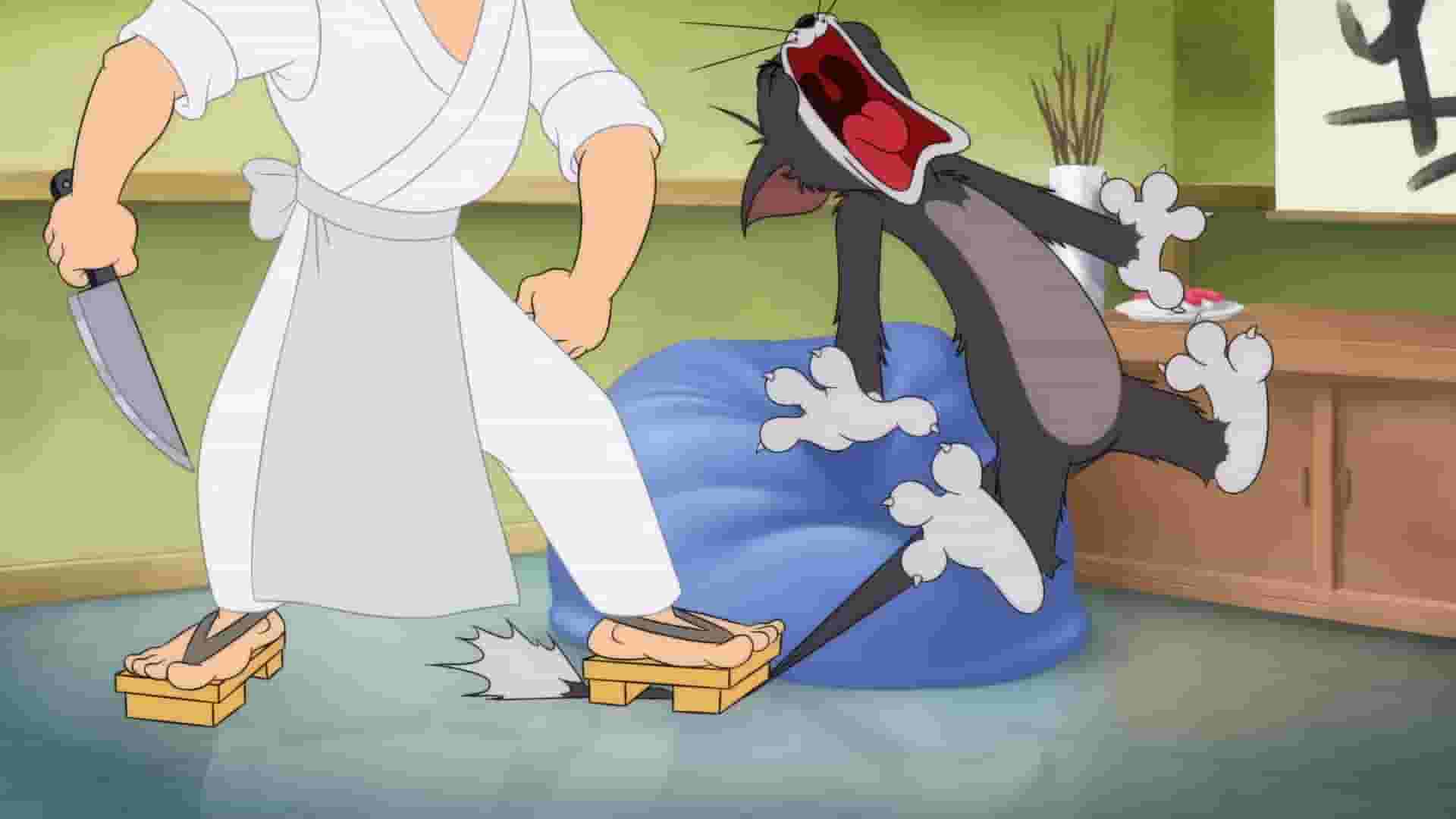 پخش فیلم