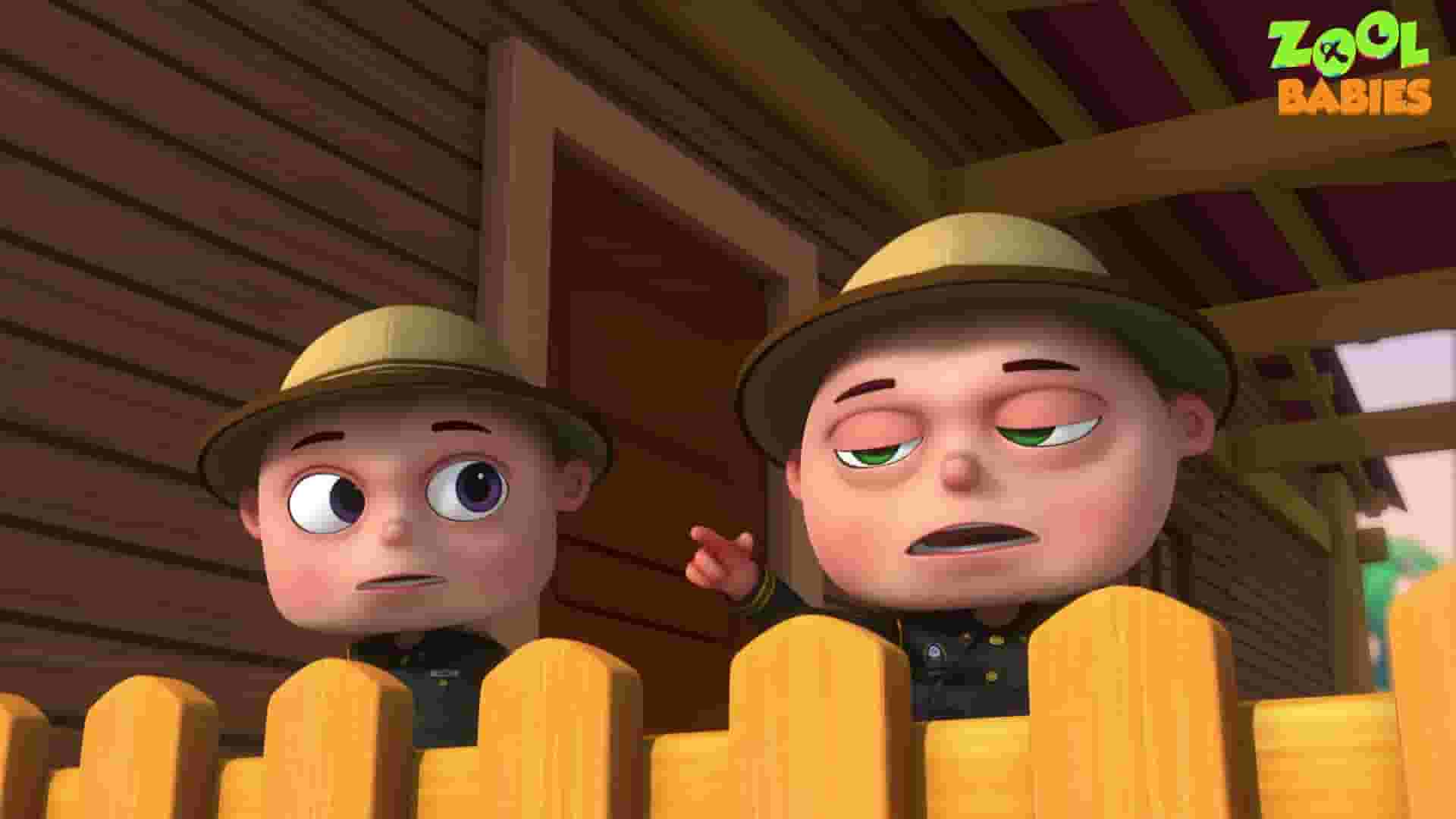 پخش فیلم