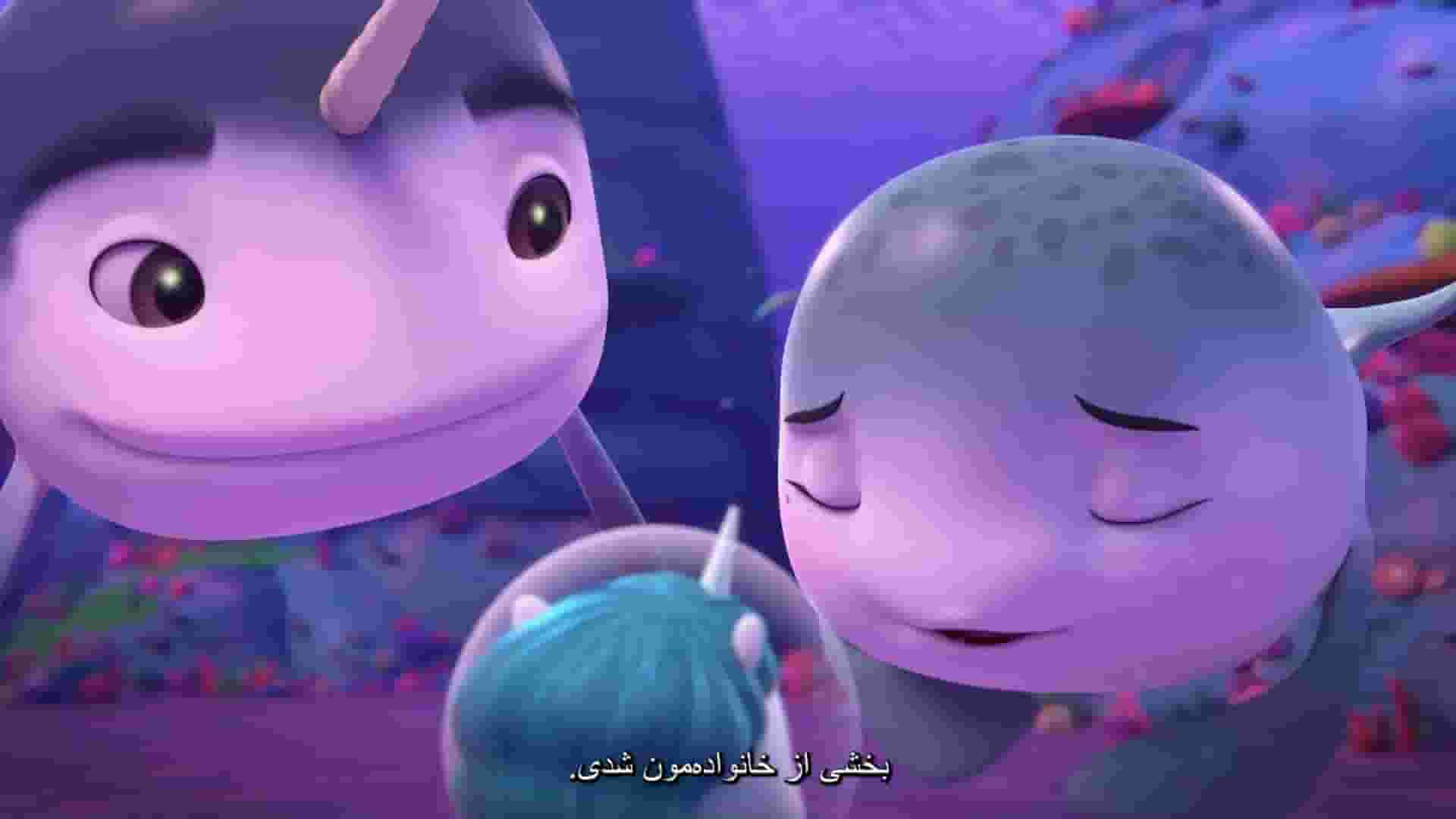 پخش فیلم