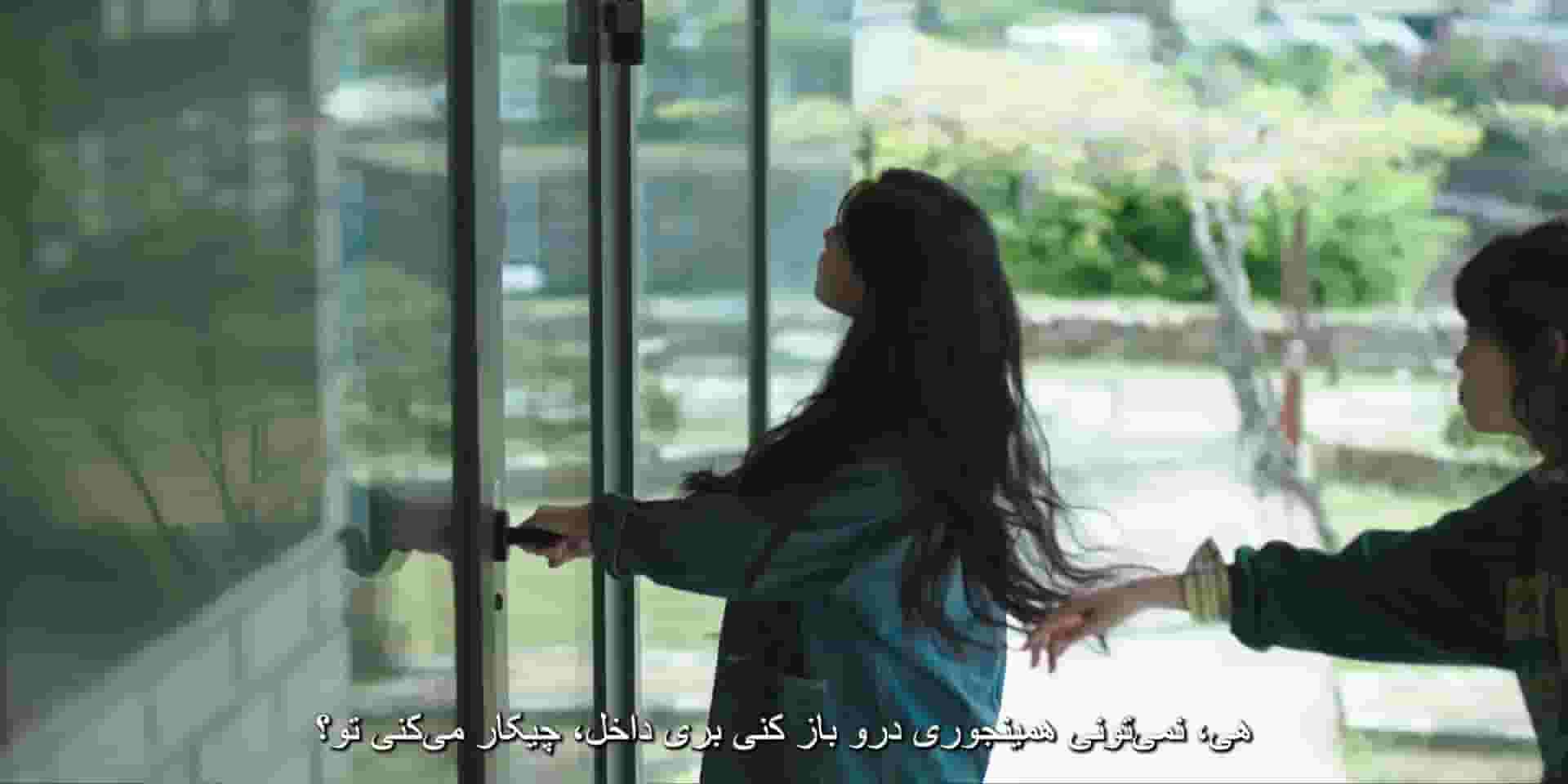 پخش فیلم