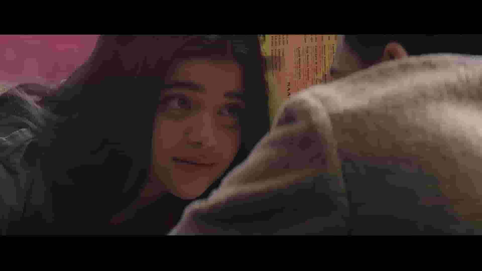پخش فیلم