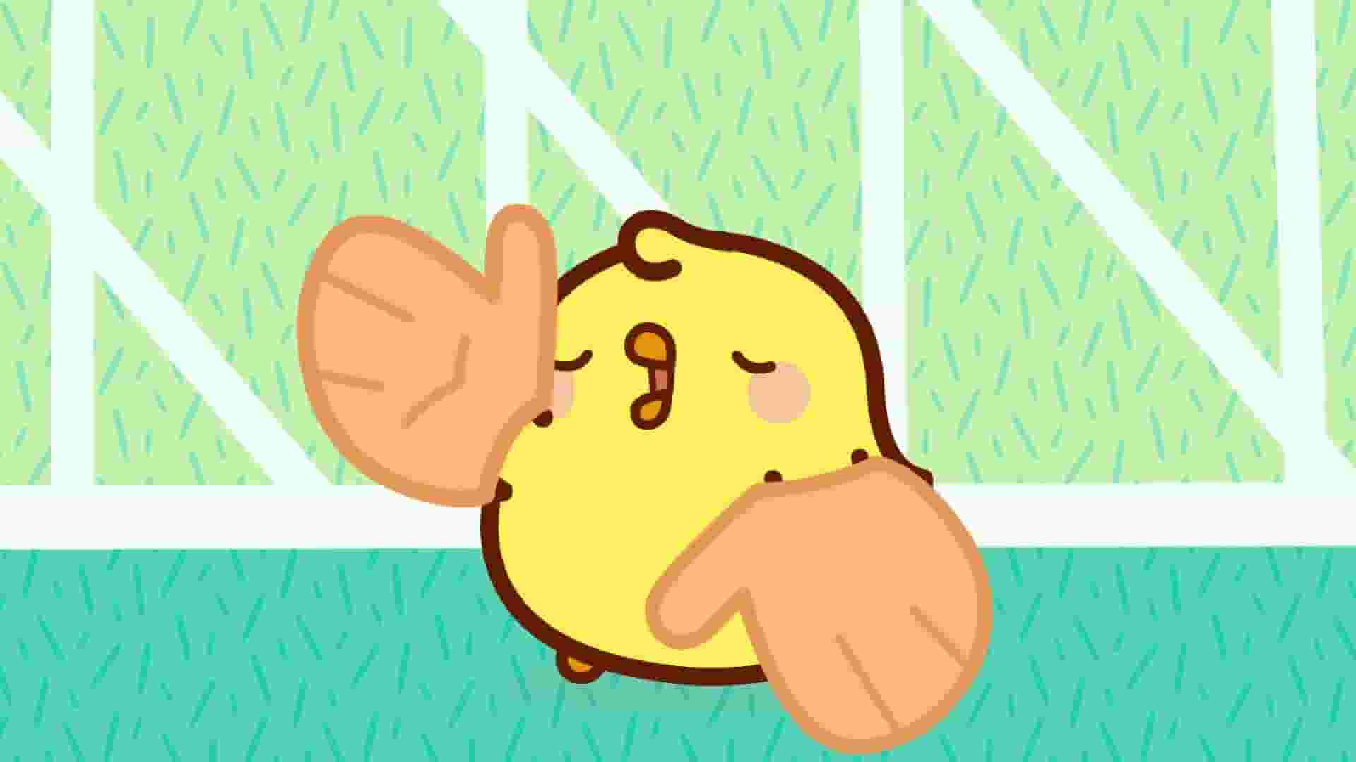 پخش فیلم