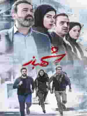 پخش فیلم