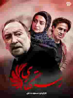 پخش فیلم