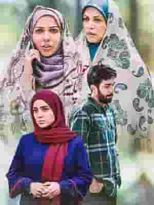 پخش فیلم