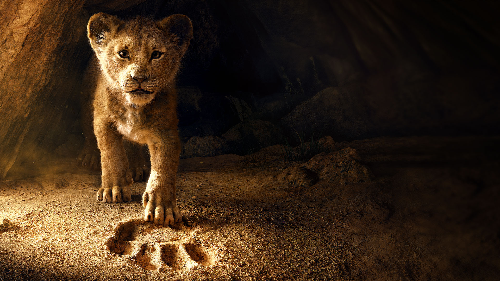 شیرشاه(The Lion King)