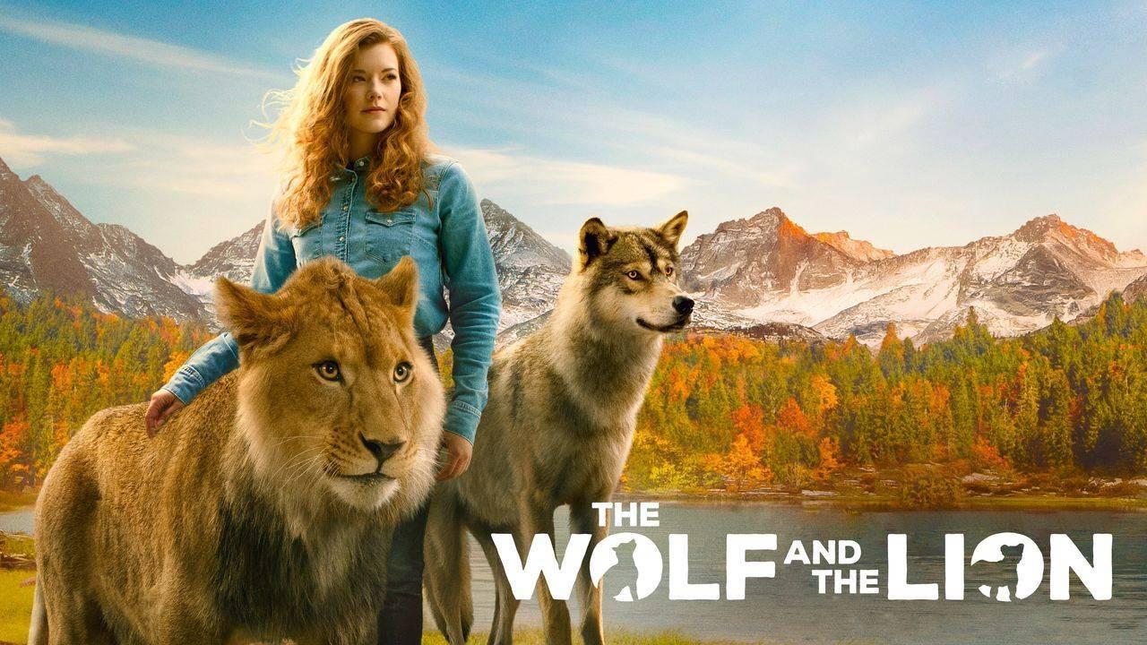گرگ و شیر(The Wolf and the Lion)