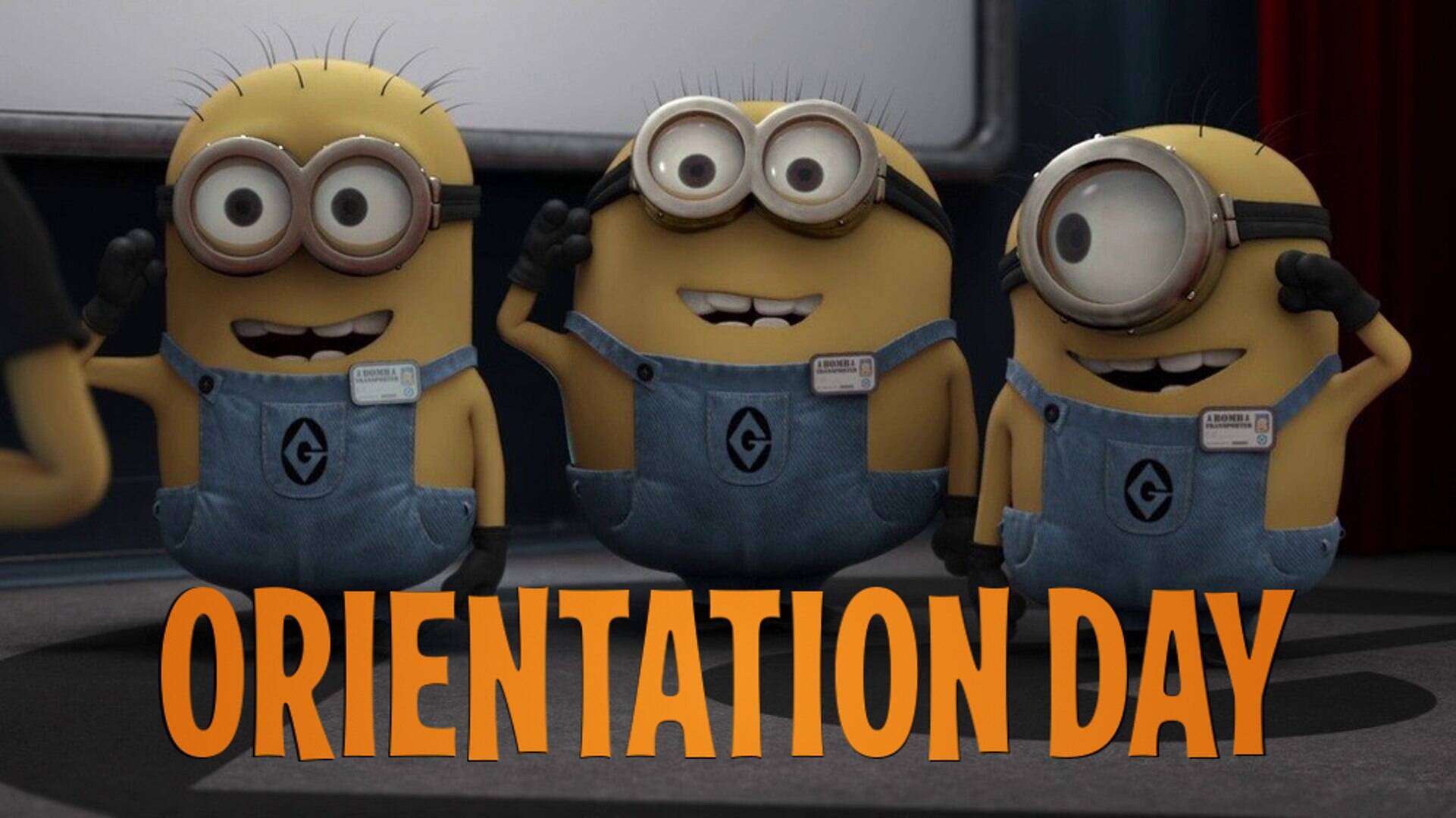 مینیون ها: روز آشنایی(Orientation Day)