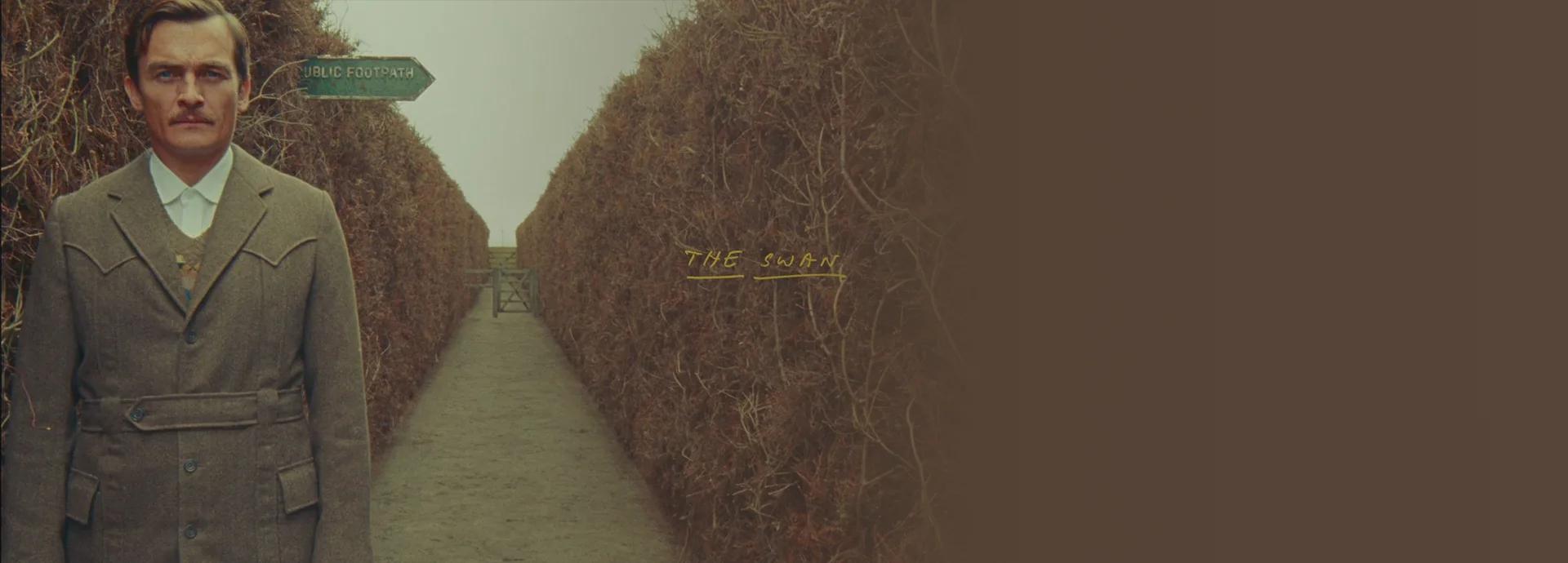 قو(The Swan)