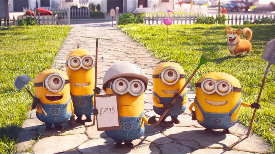 مینیون های چمن زن(Mower Minions)