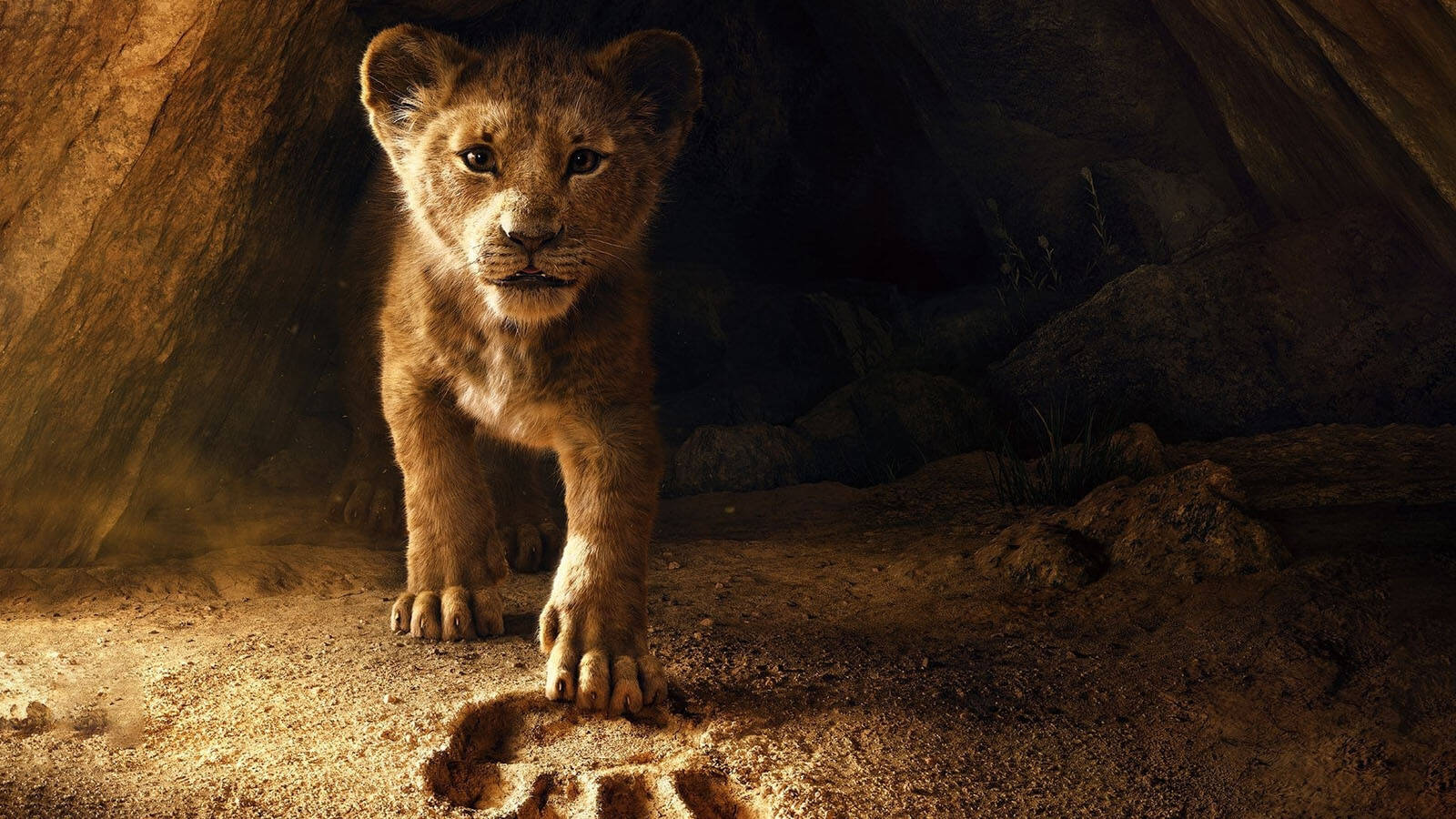 شیر شاه 4(The Lion King)