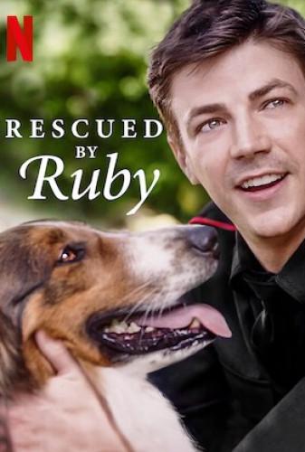 نجات یافته توسط روبی(Rescued by Ruby)