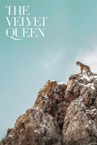ملکه مخملی(The Velvet Queen)