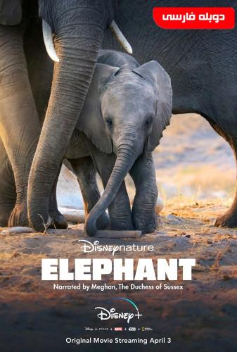فیل(Elephant)